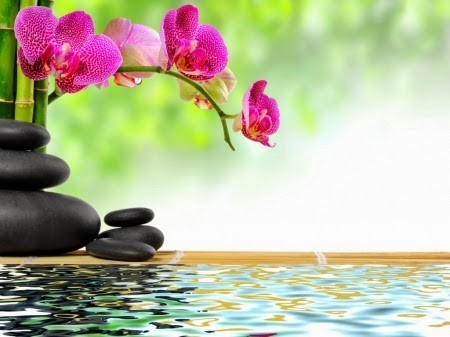 OLIVIE TIPS: 3 secrets to stay ZEN in all circumstances!